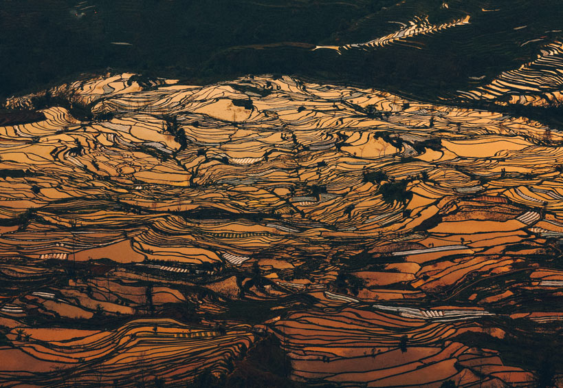 风景